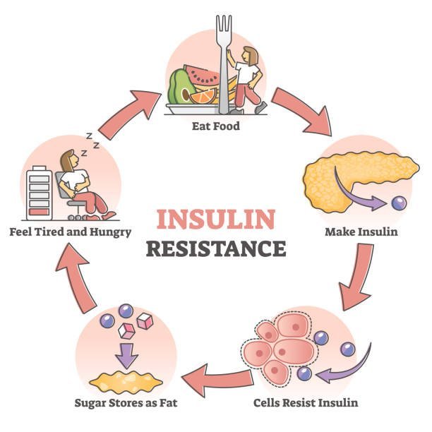 insulin-resistance-symptoms-morley-coaching